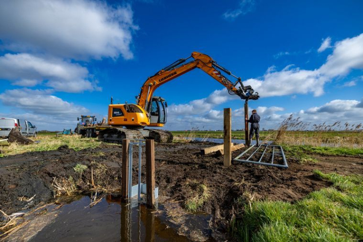 Hogere waterpeilen op ruim 1500 hectare in de Friese veenweiden