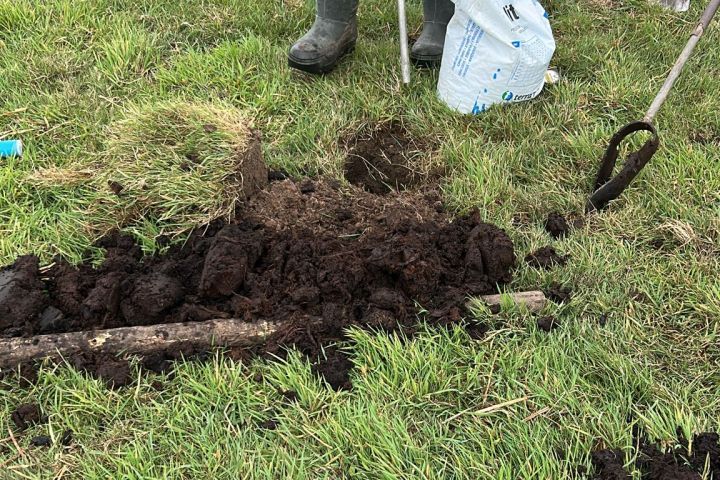 Digitale grondwatermetingen in Idzegea van start