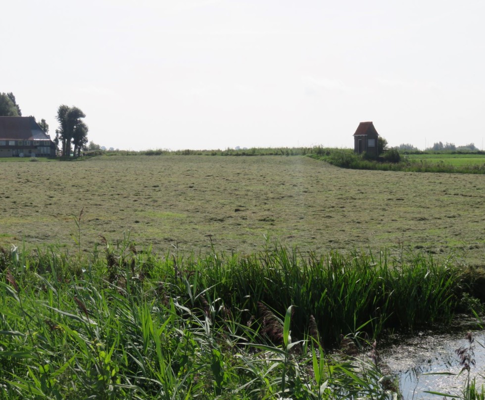 Foto van een landschap met weilanden die als een mozaïek aan elkaar liggen