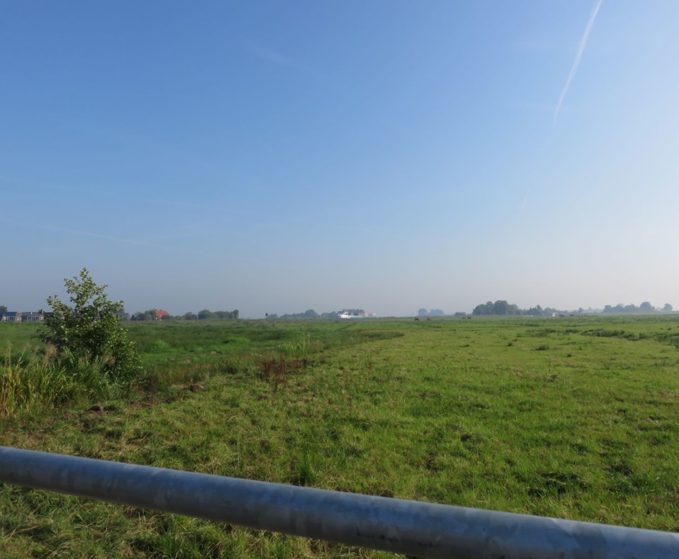 Foto: Gedifferentieerd beheer in polder De Burd