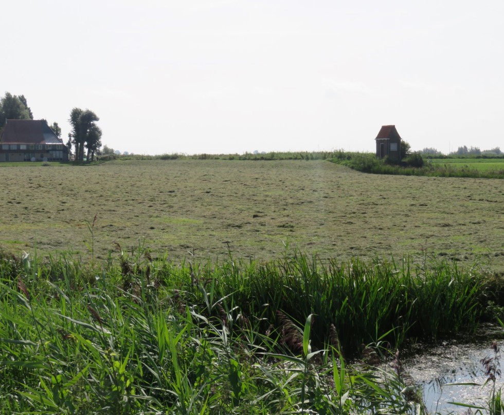 Foto van een gevarieerde grasmat tussen een boerderij en een gemaal in