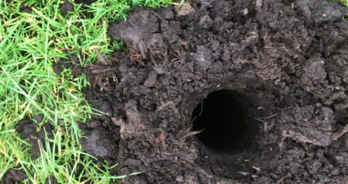 Boorgaten in schalterveen