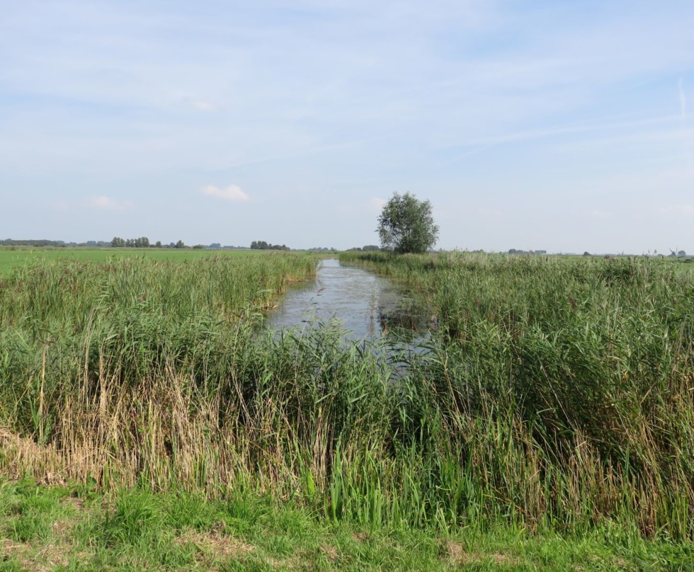Foto vanuit de berm genomen van een landschap met een brede watergang tussen weilanden in