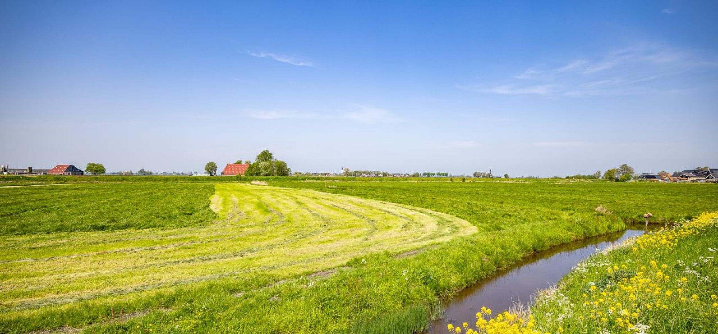 Foto van deels gemaaid weiland in Idzegea