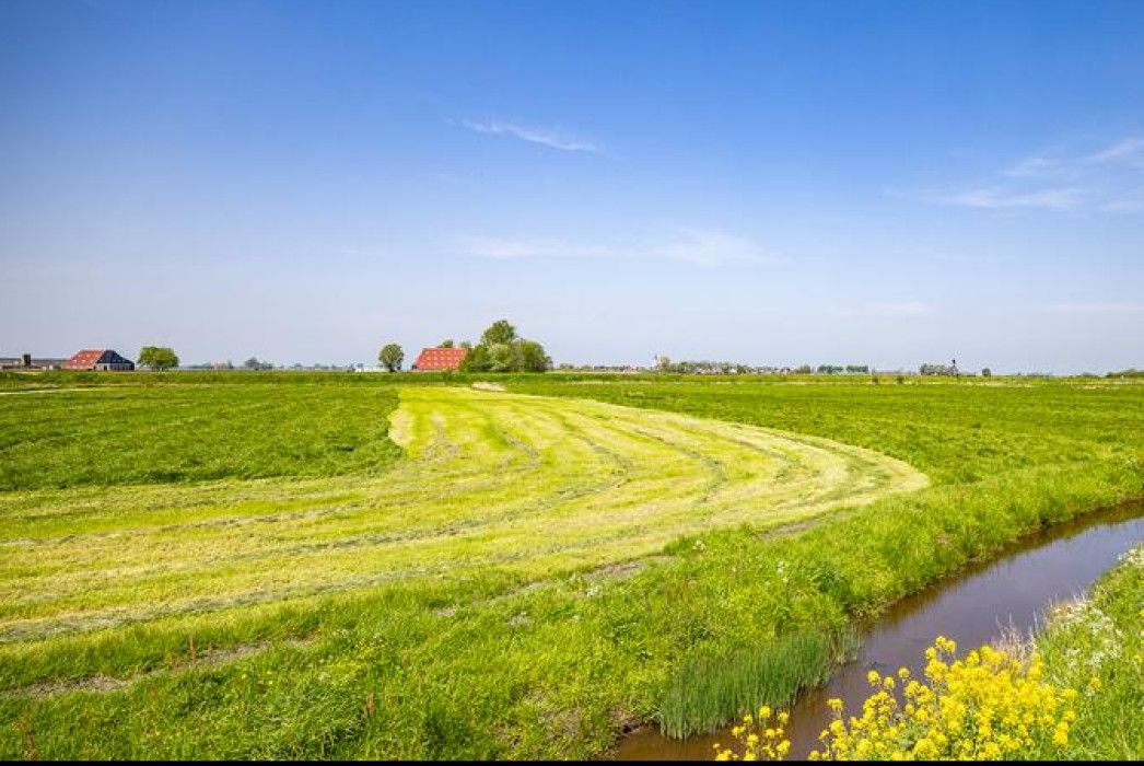 Weiland waarin een deel van het gras in stroken is gemaaid