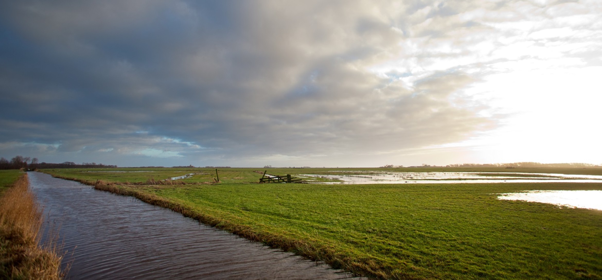 Foto van een weids landschap met een brede sloot naast een weiland waar ook veel water op ligt