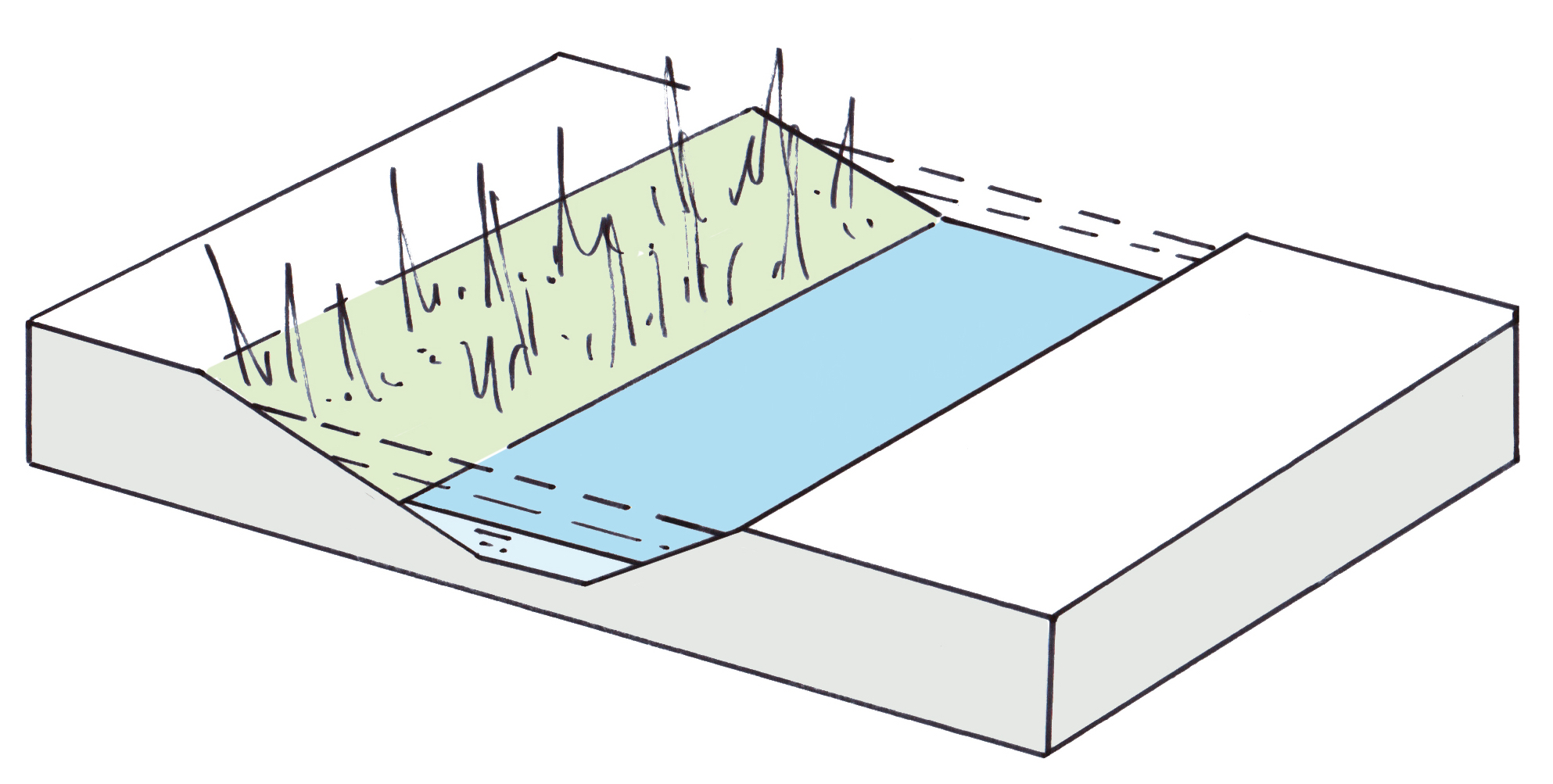 Illustratie van dwarsdoorsnede van sloot met ernaast zone voor natte natuurontwikkeling